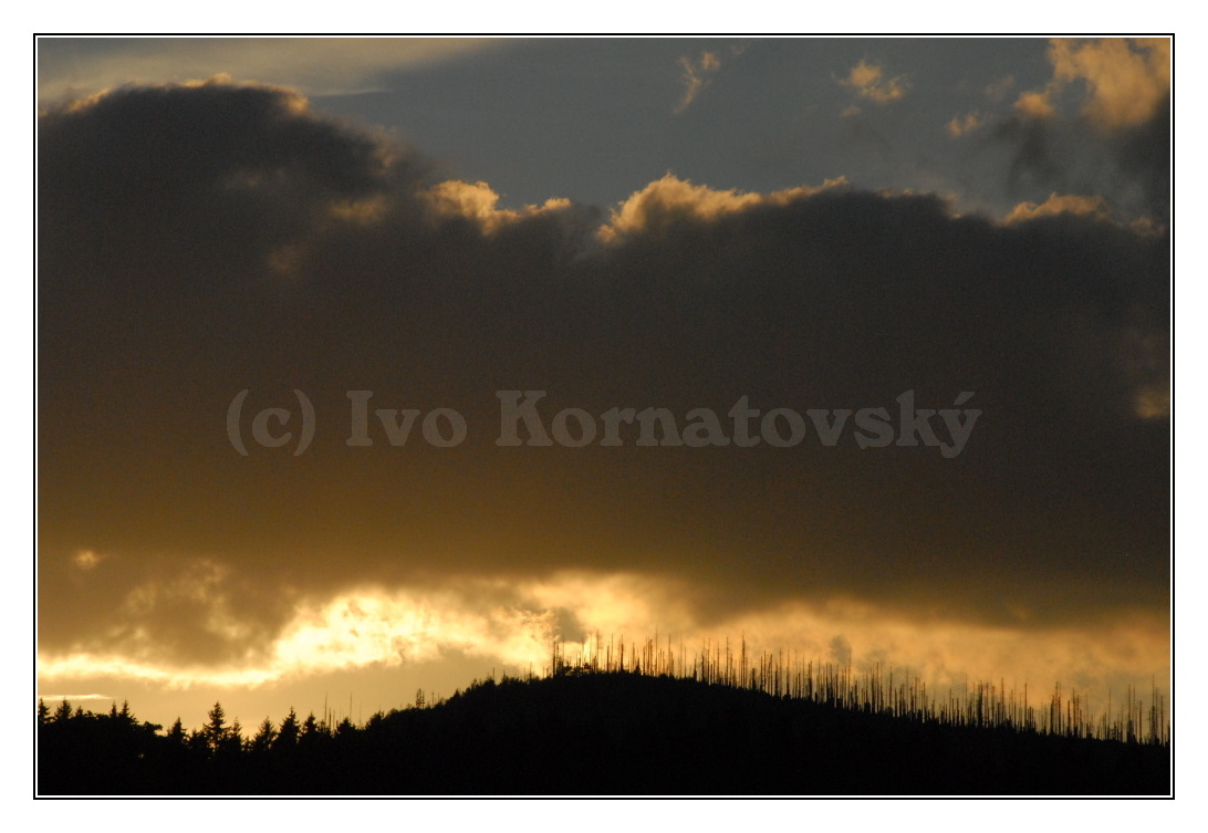 šumava