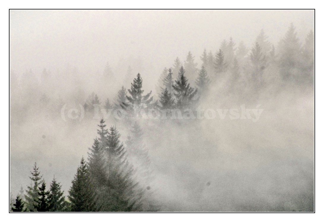 šumava