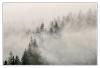 šumava