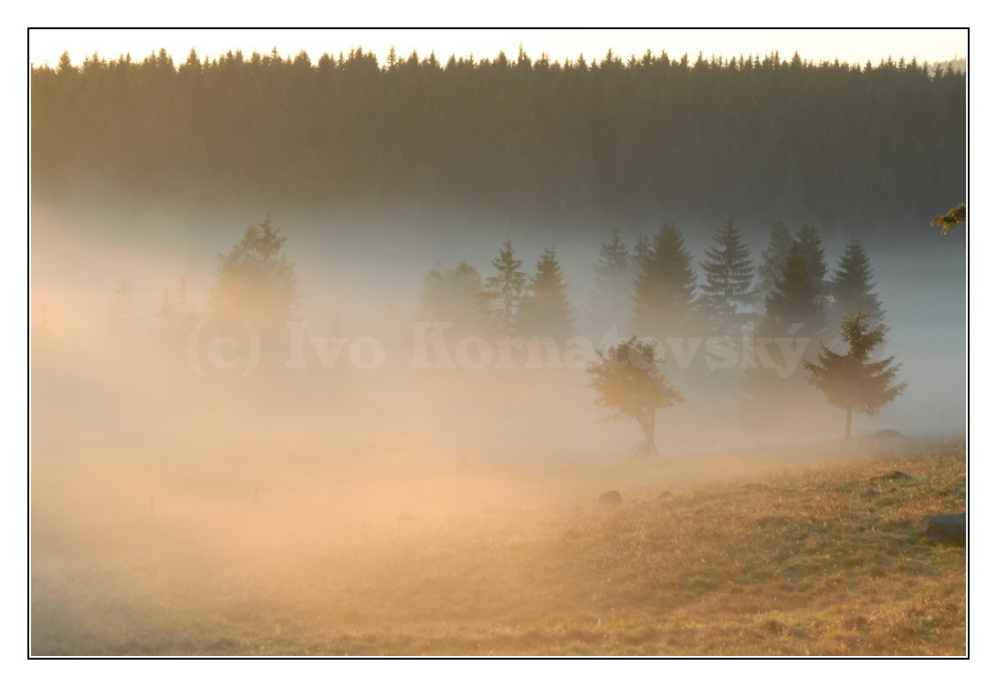 šumava