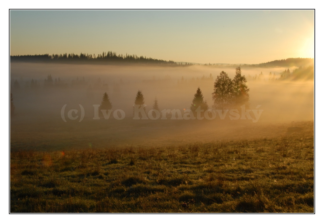 šumava