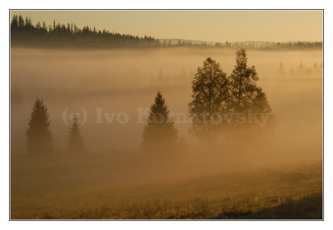 šumava