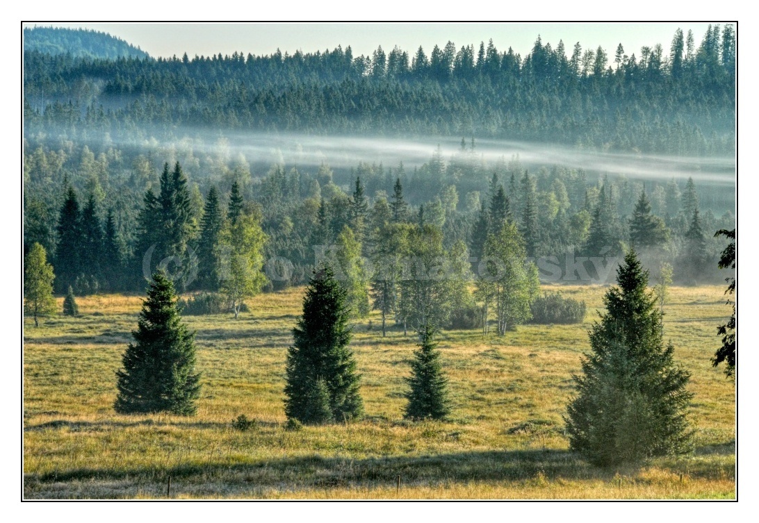 šumava