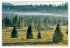 šumava