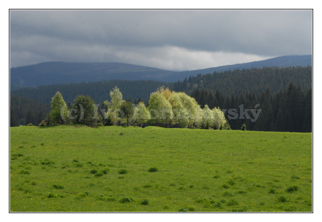 šumava