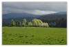 šumava