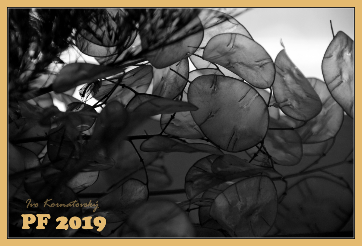 PF2019