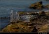 More_05