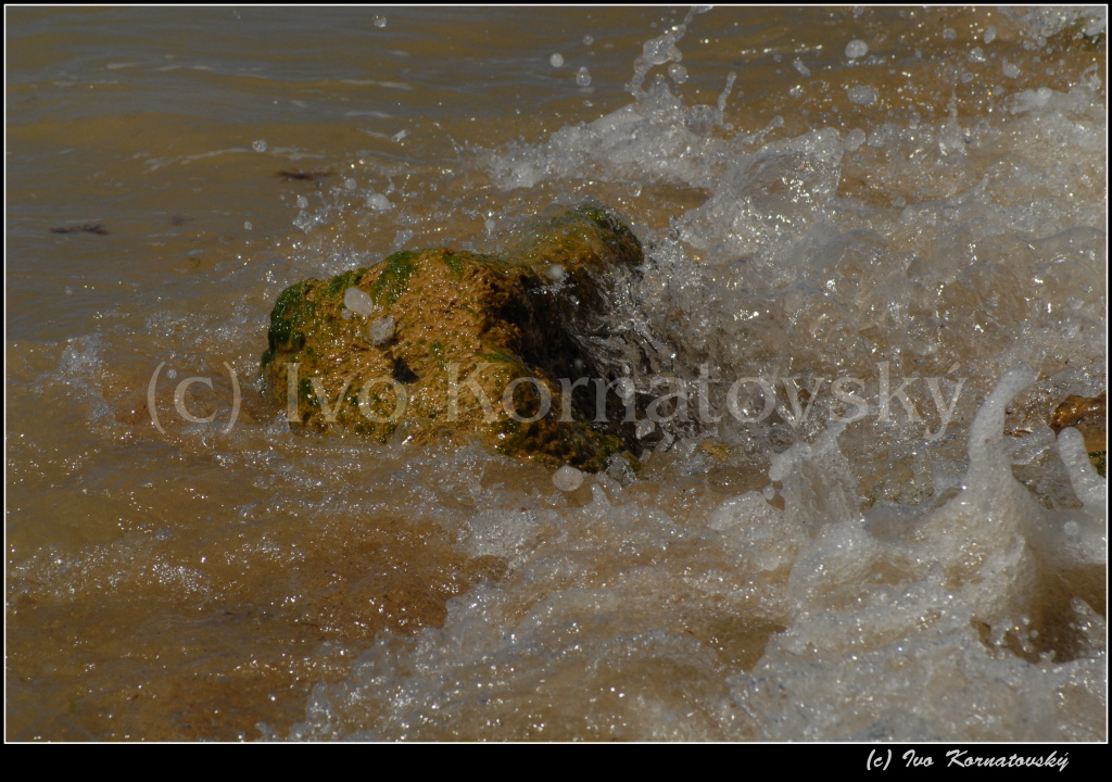 More_26