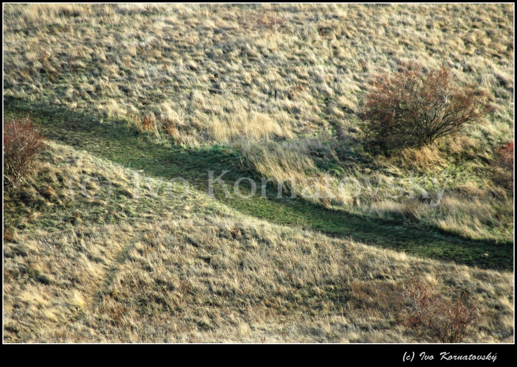 Kra_15