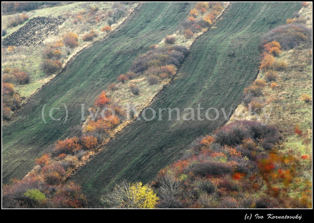 Kra_27