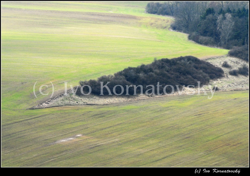 Kra_37