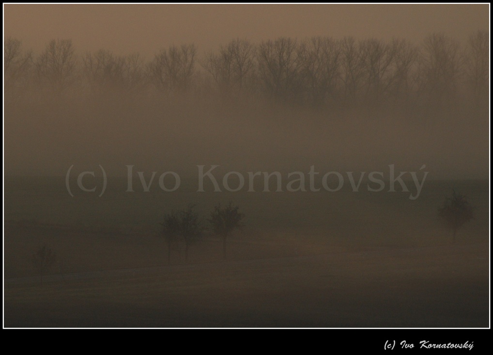 Kra_41