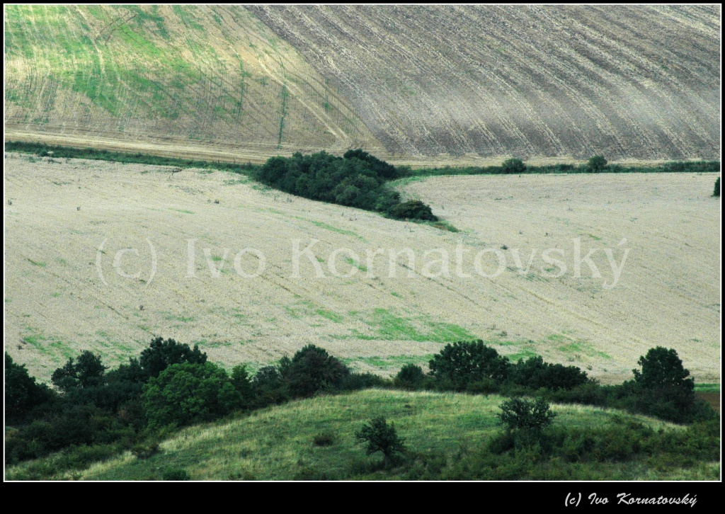 Kra_51