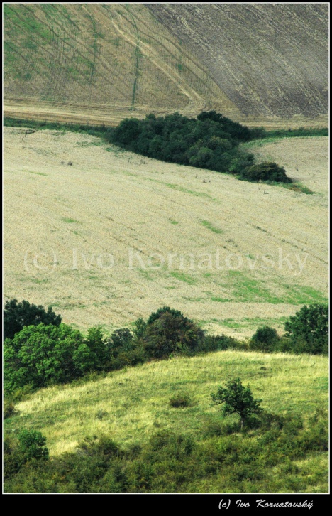 Kra_53