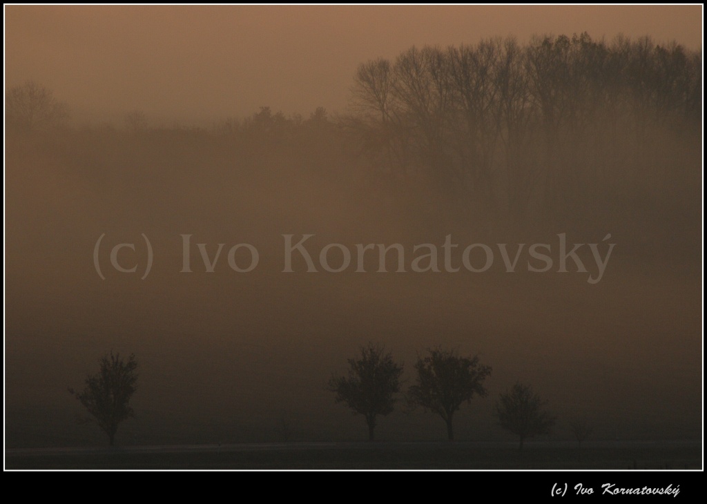 Kra_58