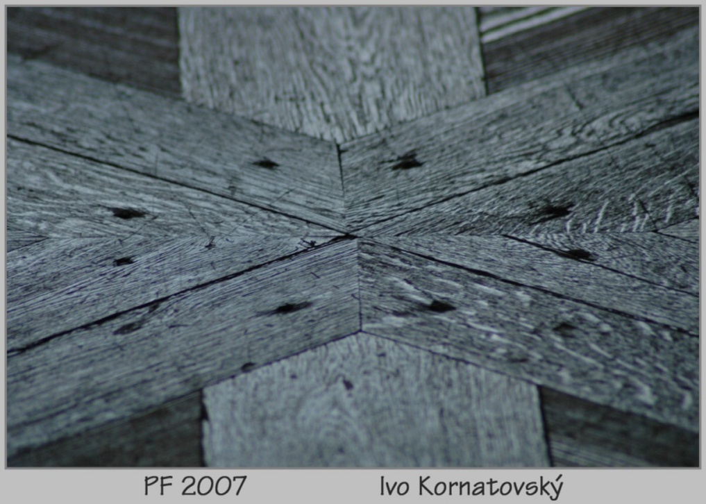 PF2007