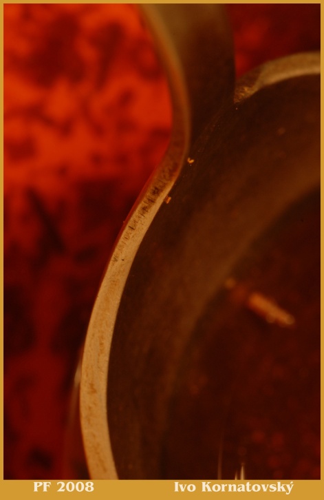 PF2008