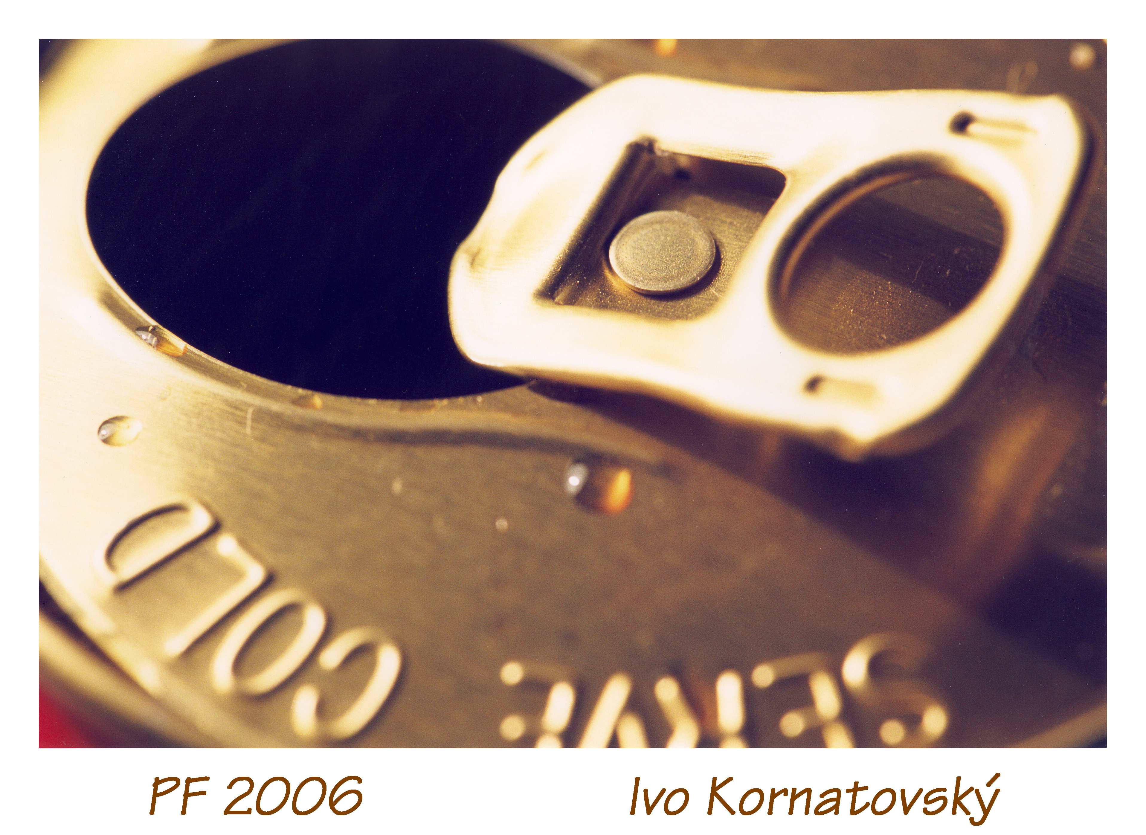 PF2006