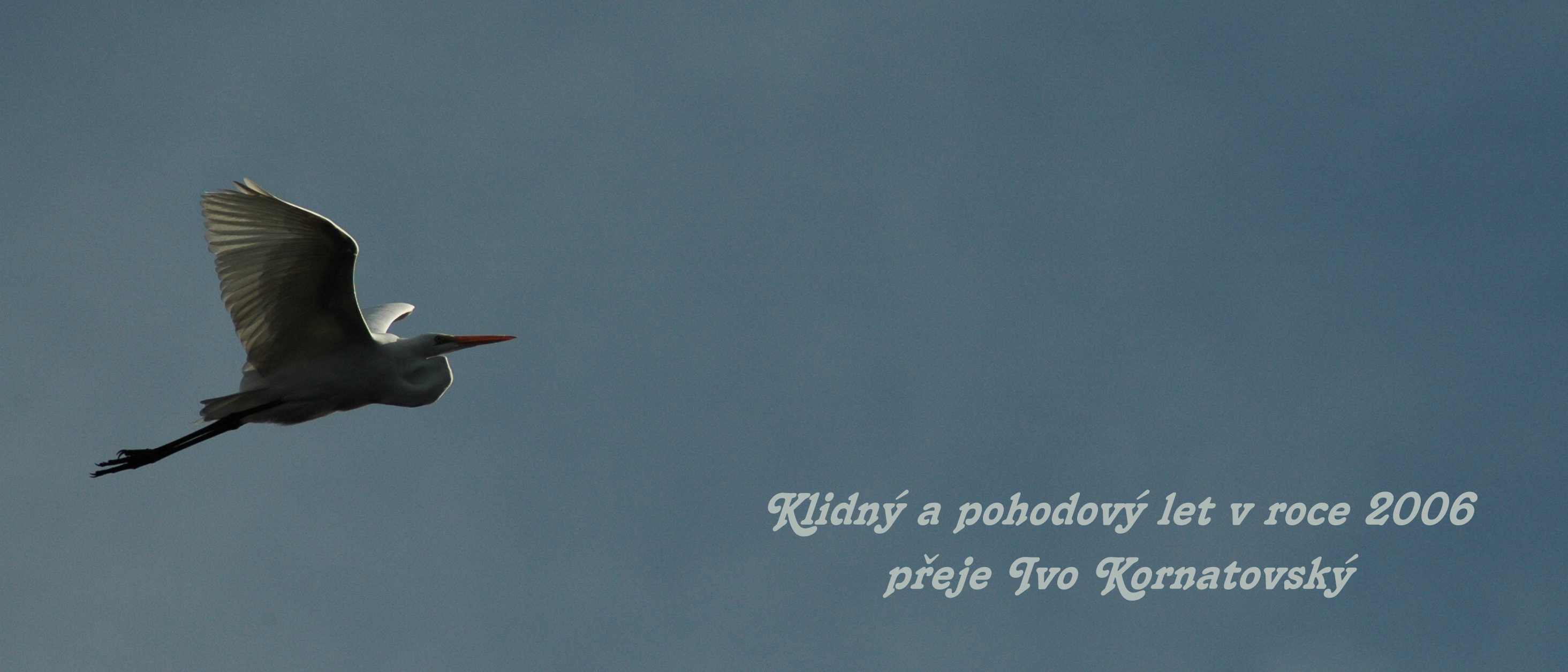PF2006