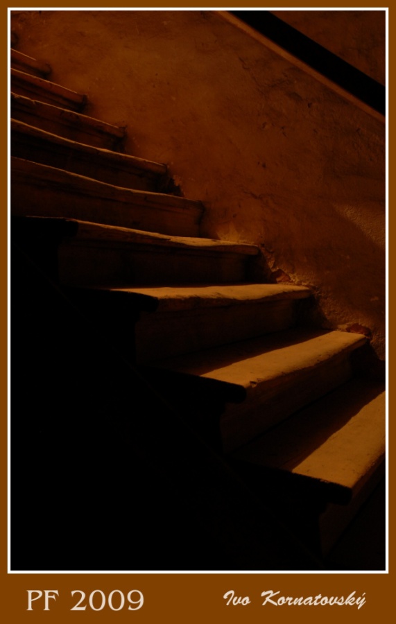 PF2009