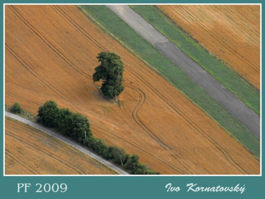 PF2009