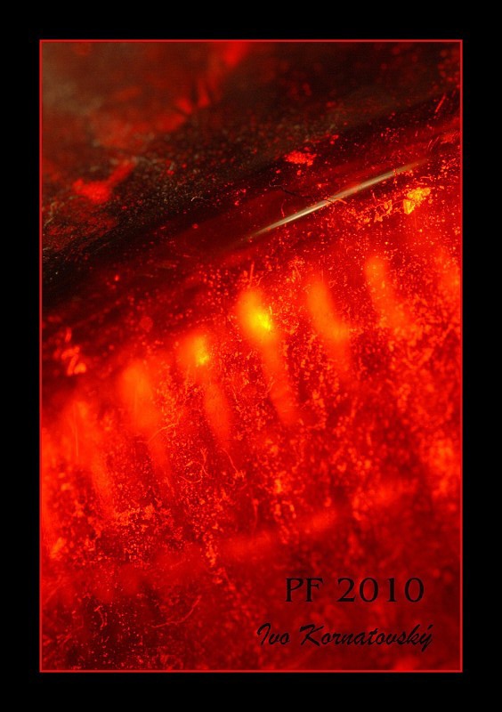 PF2010