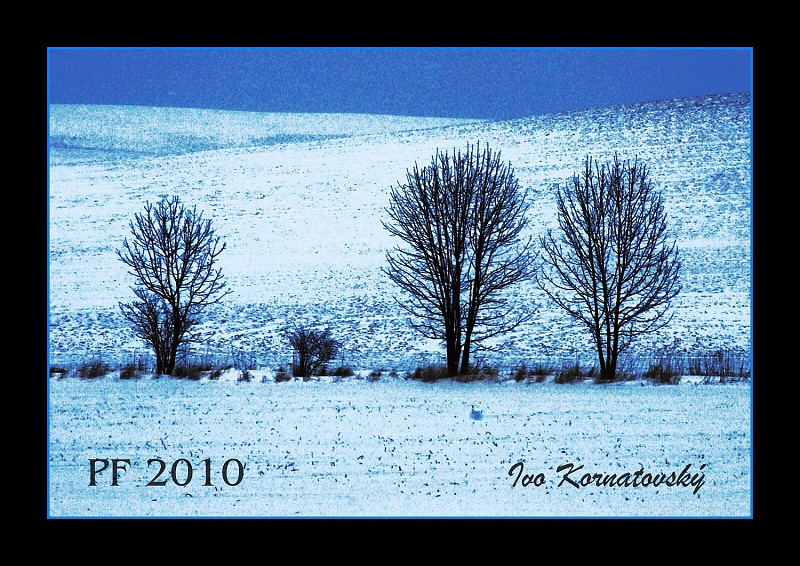 PF2010