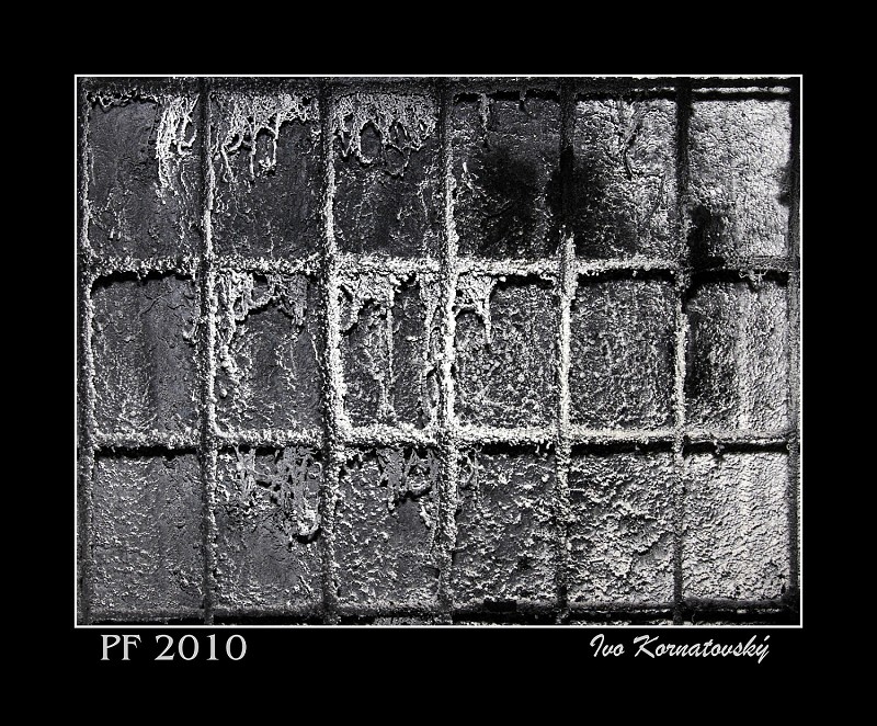 PF2010