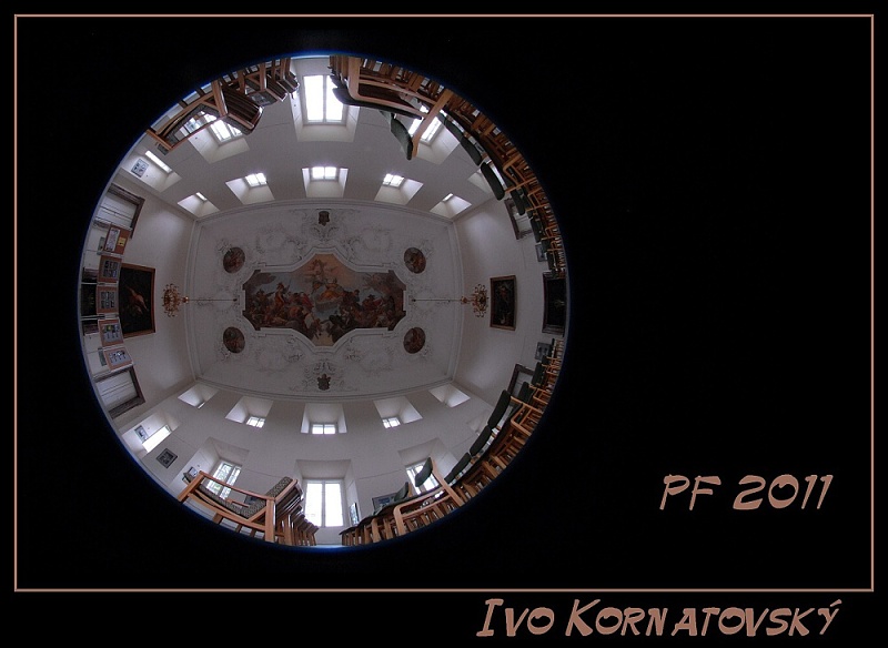 PF2011