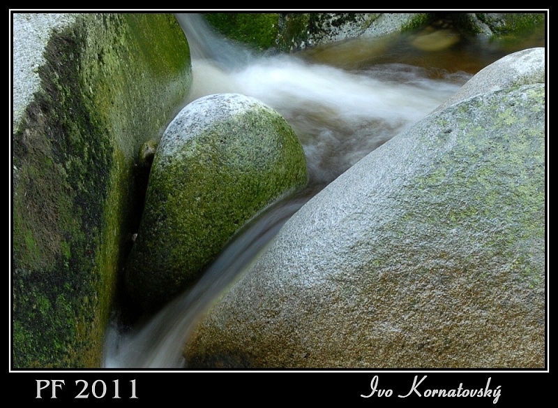 PF2011