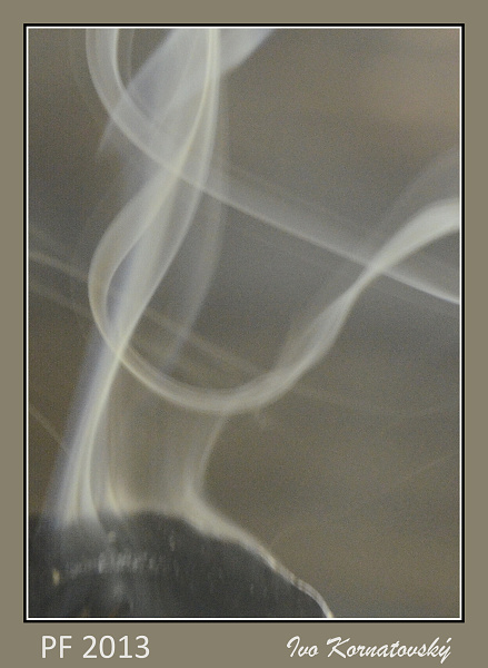 PF2013
