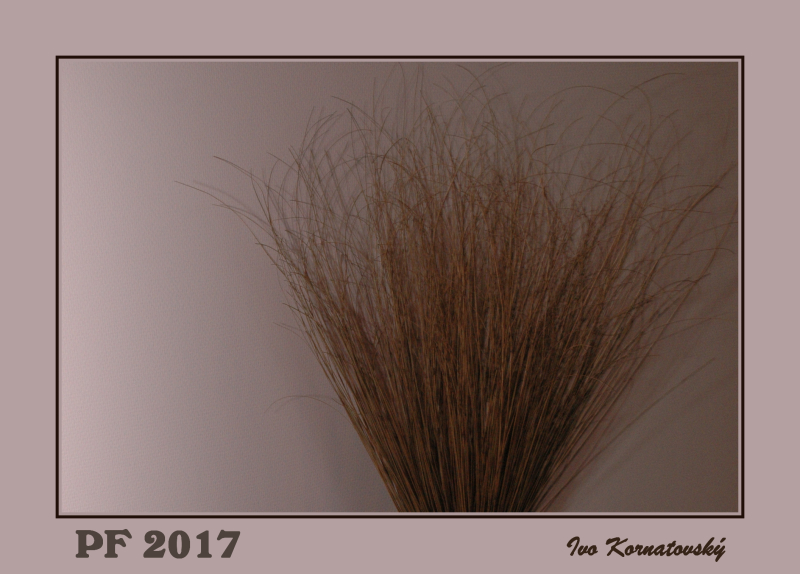 PF 2017