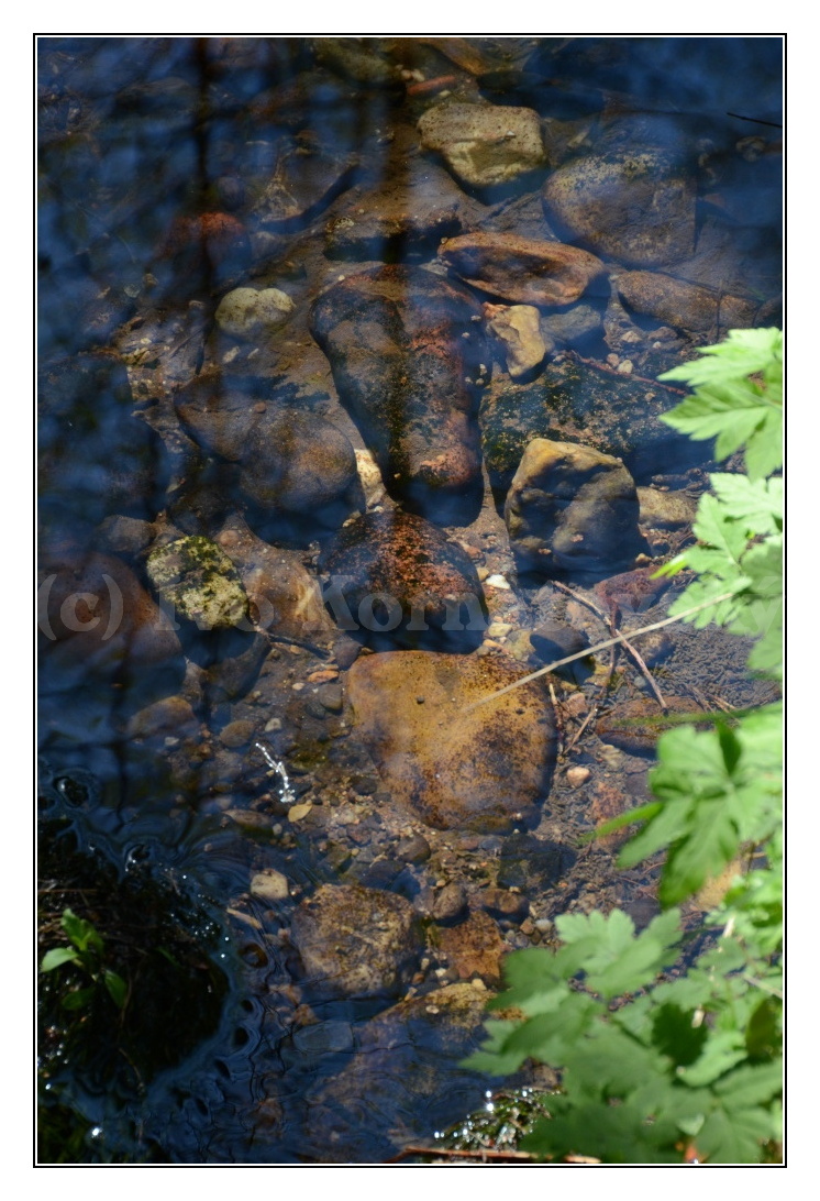 Manětínský potok