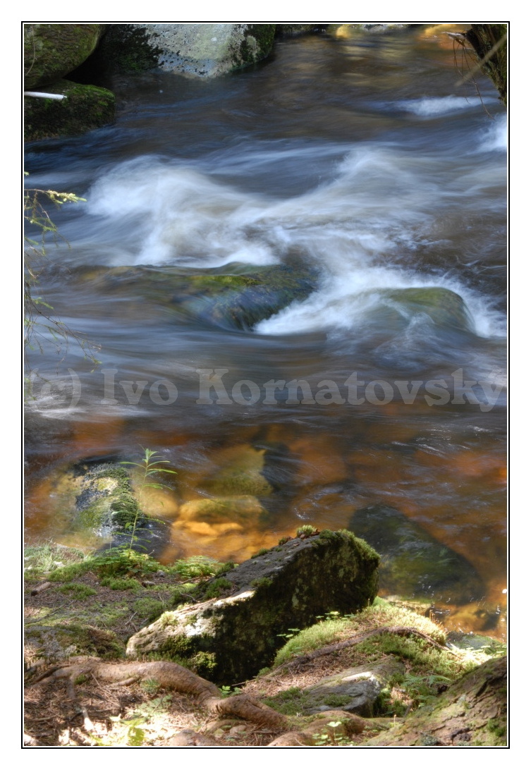 Šumava