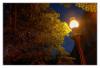 lampa
